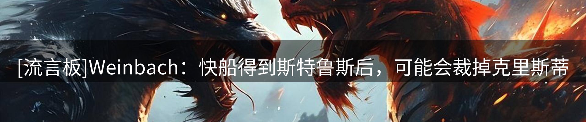 网站资讯